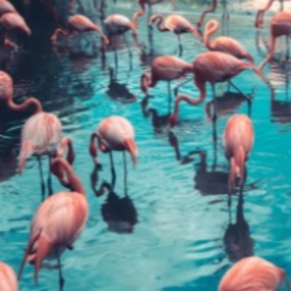 Meet your Posher, Aubrey